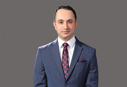 Dr. Ahmad  Alnsour