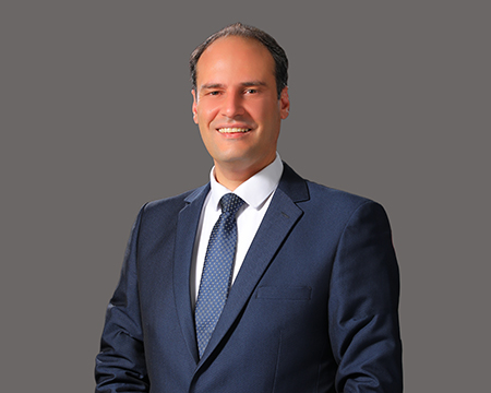 Dr. Ramzy  Radaideh